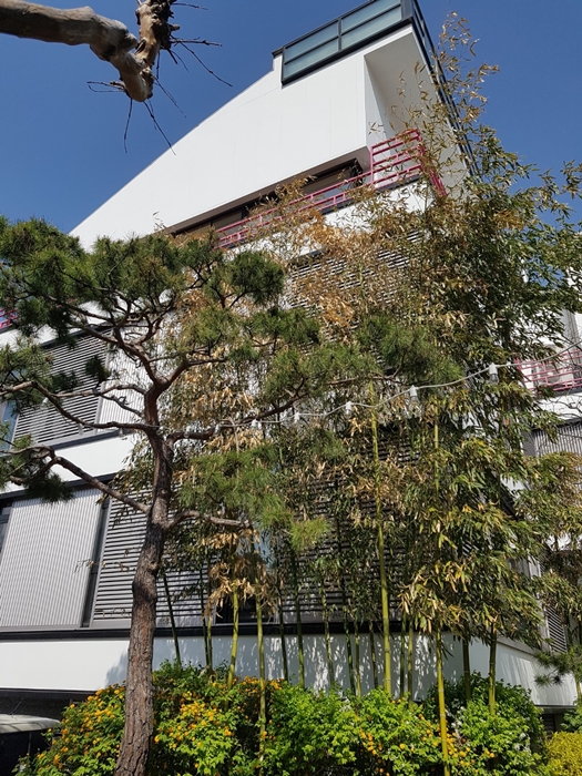 604950596_UJj8nAXS_KakaoTalk_Moim_7nICOoBqkP2wsHumxhT3E2Z70JAEkq.jpg 604950596_UJj8nAXS_KakaoTalk_Moim_7nICOoBqkP2wsHumxhT3E2Z70JAEkq.jpg