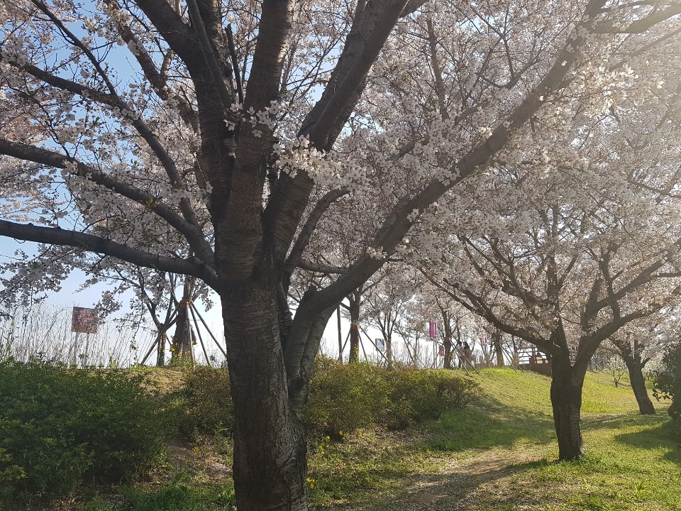 621942285_0FU1aiWL_E38581.jpg 621942285_0FU1aiWL_E38581.jpg