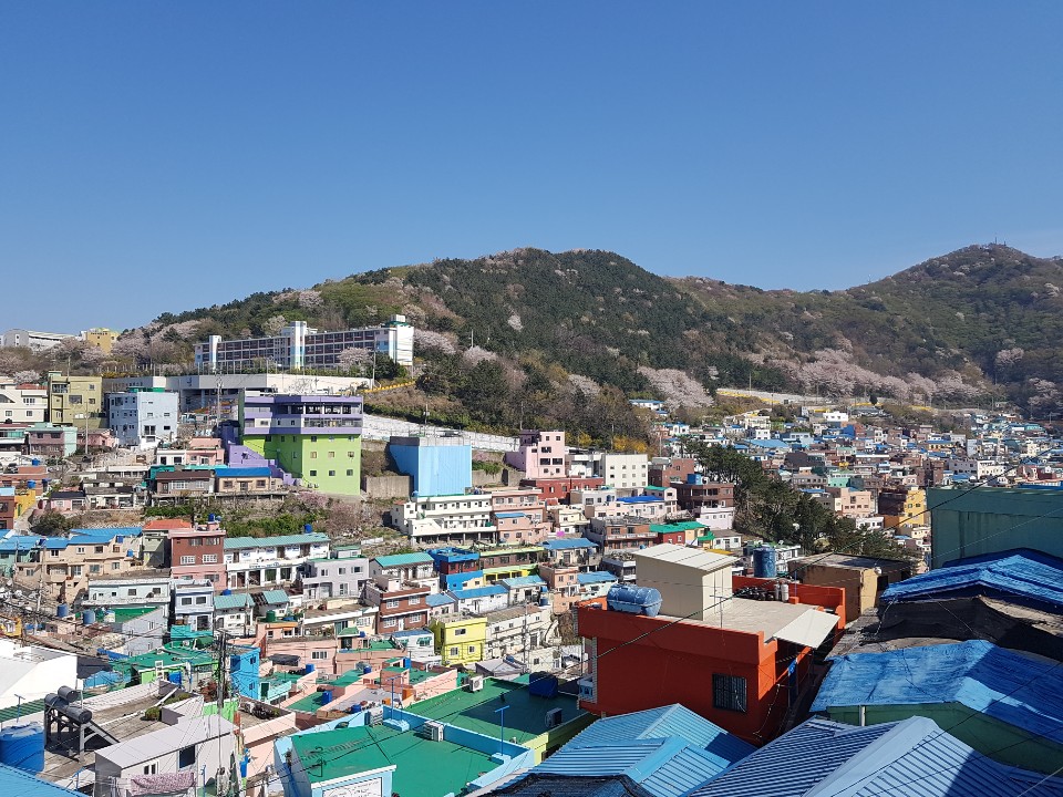 621942285_afXhsSLO_E38587.jpg 621942285_afXhsSLO_E38587.jpg